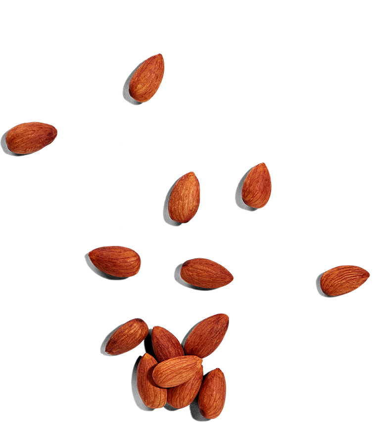 Roar Protein almonds snack